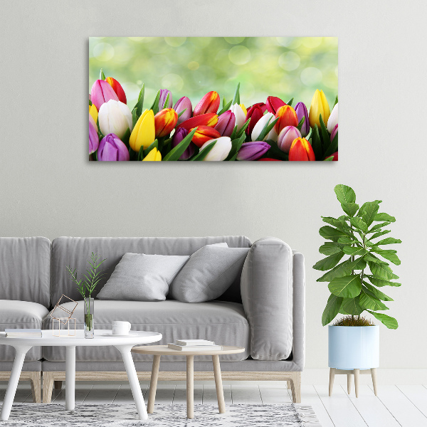 Moderní obraz canvas na rámu Barevné tulipány