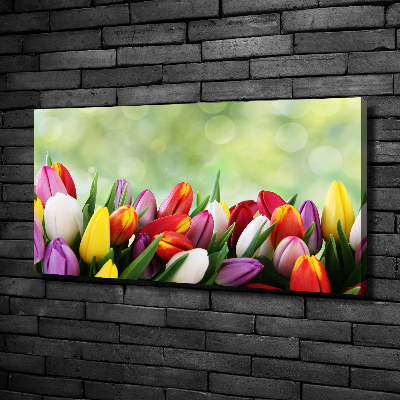 Moderní obraz canvas na rámu Barevné tulipány