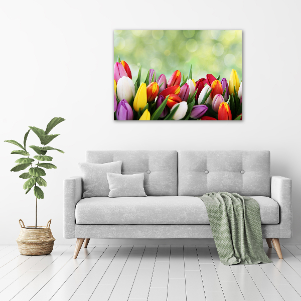 Moderní obraz canvas na rámu Barevné tulipány