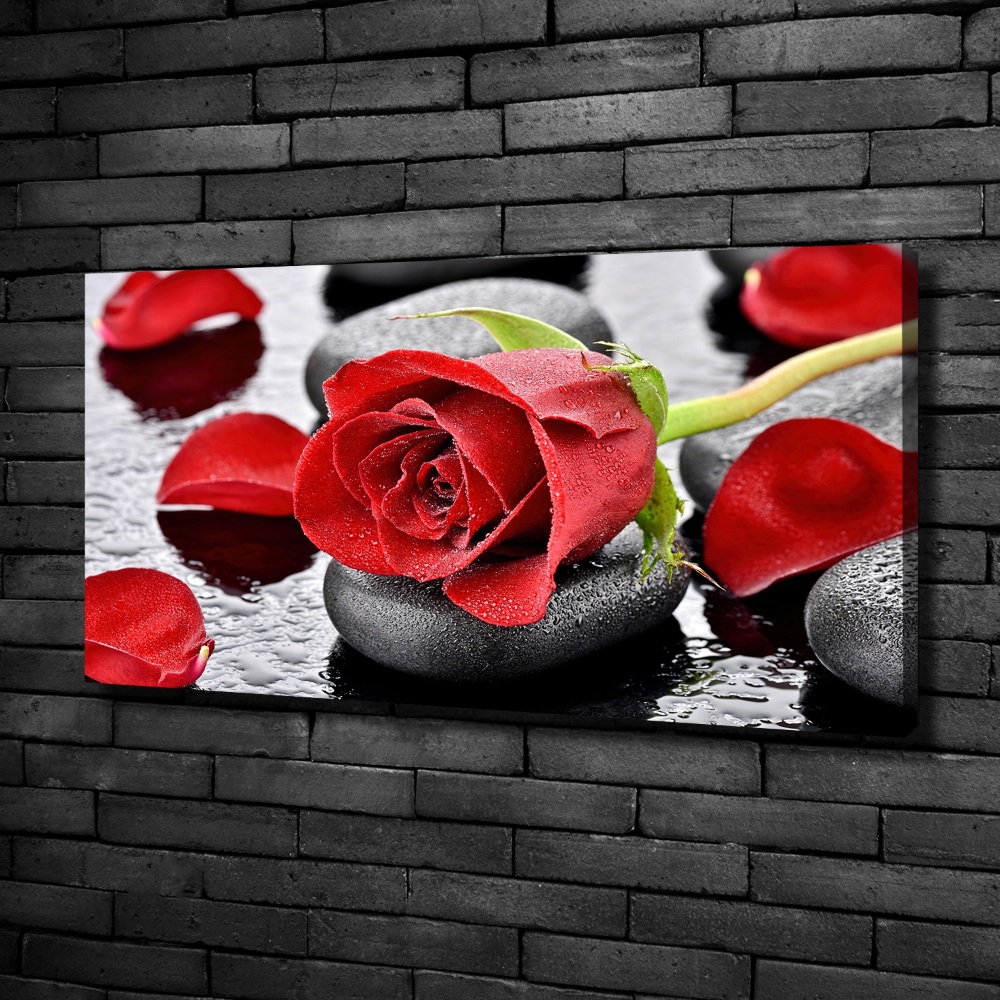 Moderní fotoobraz canvas na rámu Červená růže