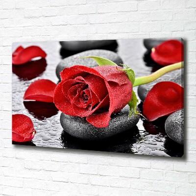 Moderní fotoobraz canvas na rámu Červená růže