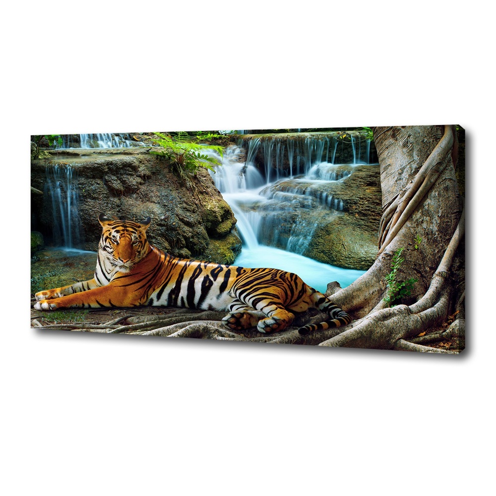 Foto obraz na plátně Tygr vodopád