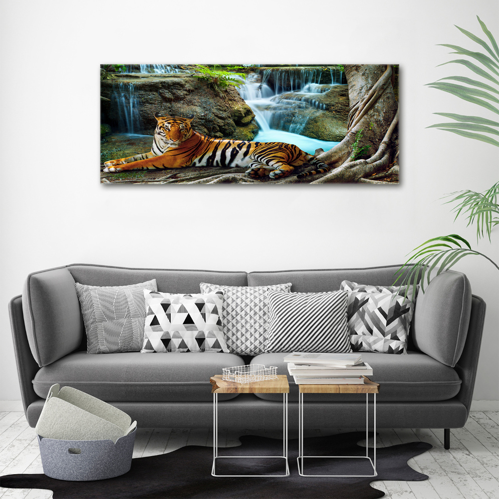 Foto obraz na plátně Tygr vodopád
