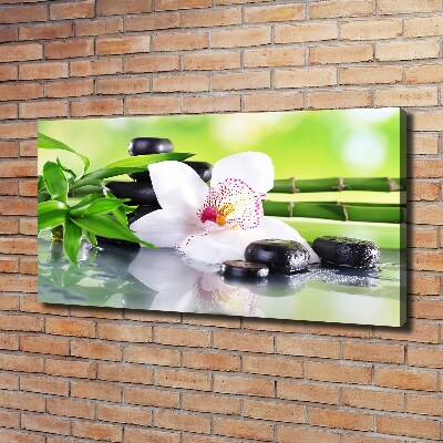 Foto obraz na plátně do obýváku Orchidej