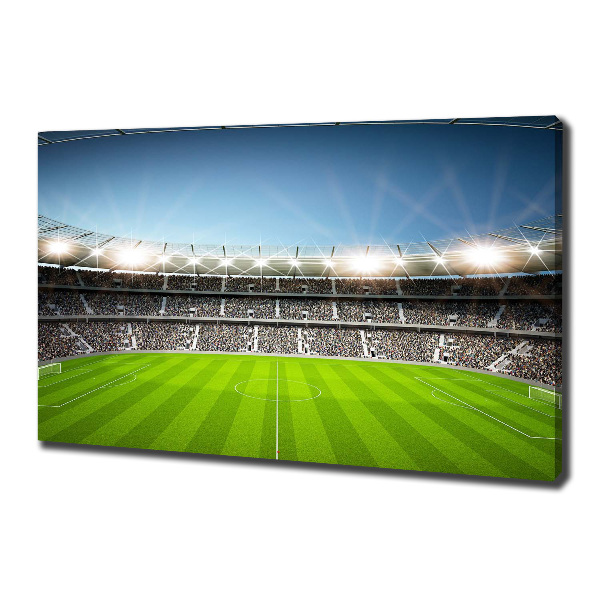 Foto-obraz canvas do obýváku Stadion