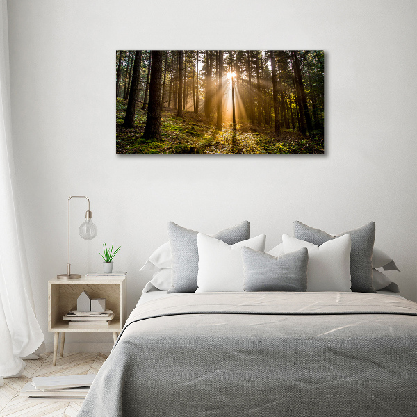 Foto obraz na plátně Sluneční světlo