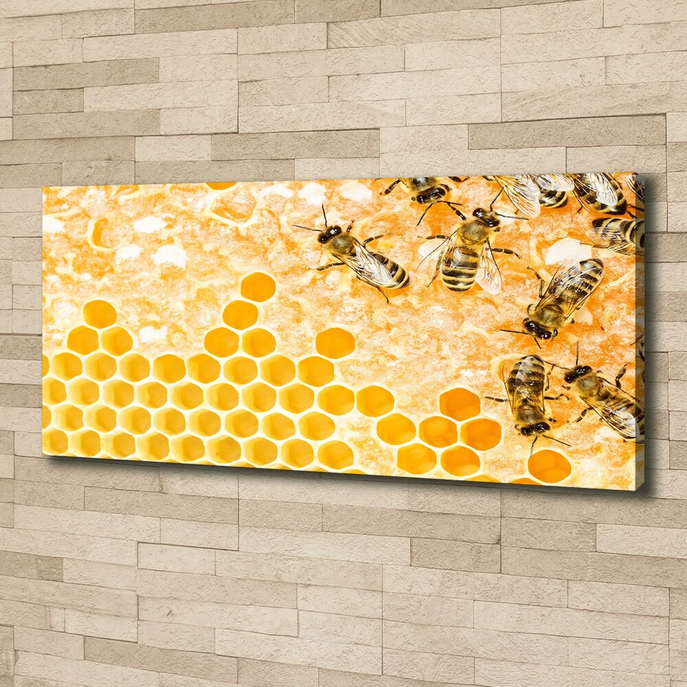 Foto obraz na plátně Pracující včely