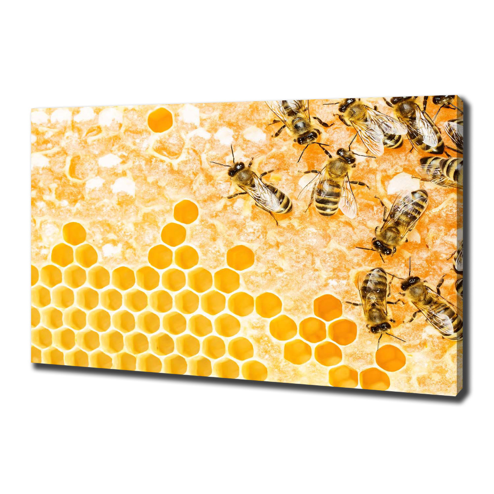 Foto obraz na plátně Pracující včely