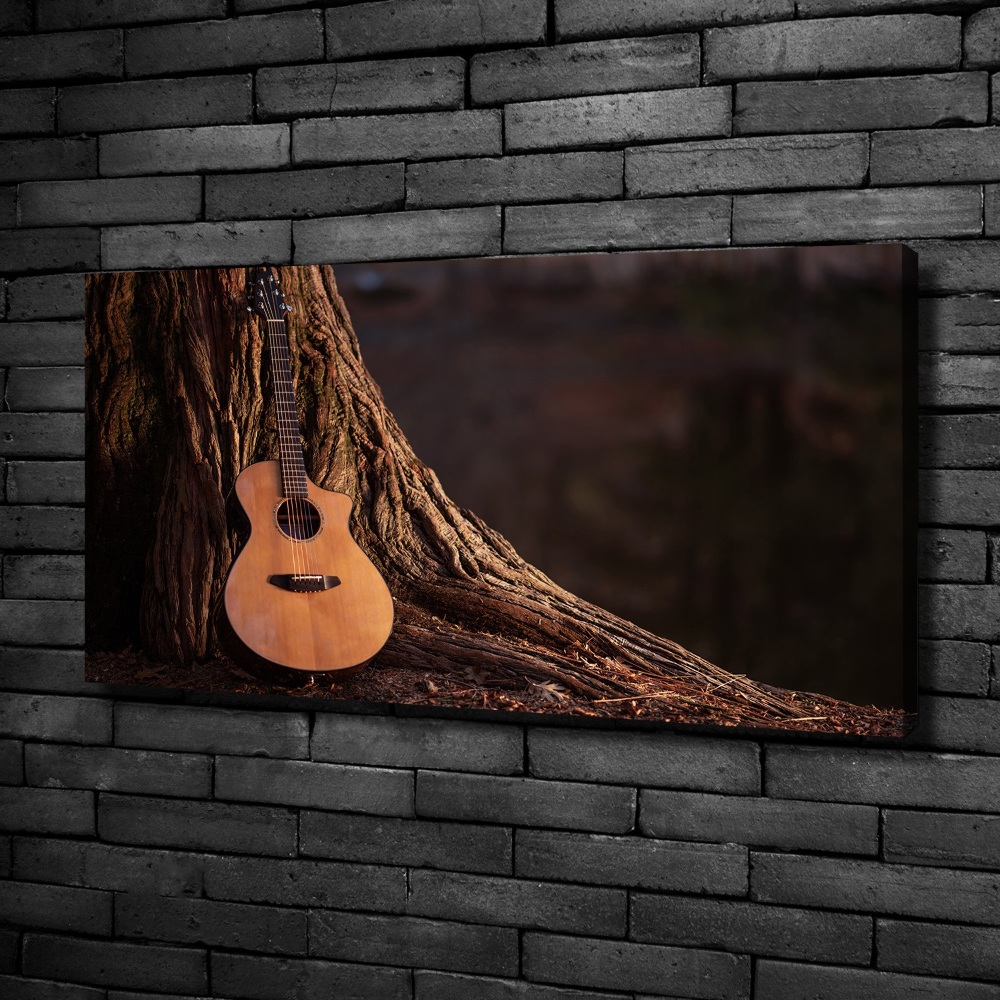 Foto obraz na plátně do obýváku Akustická kytara
