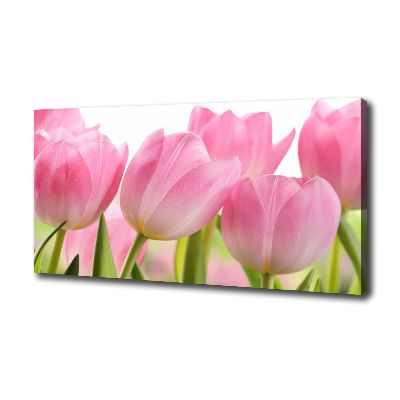 Foto obraz na plátně Růžové tulipány