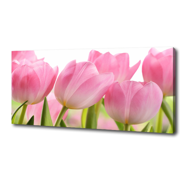 Foto obraz na plátně Růžové tulipány