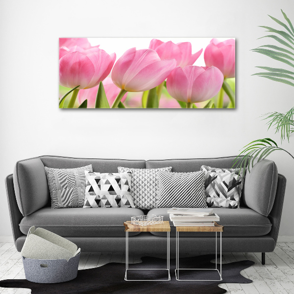Foto obraz na plátně Růžové tulipány