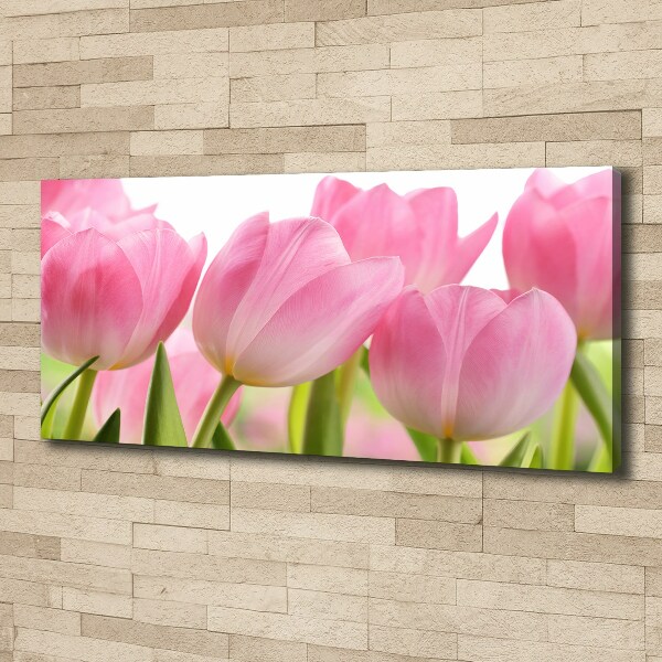 Foto obraz na plátně Růžové tulipány