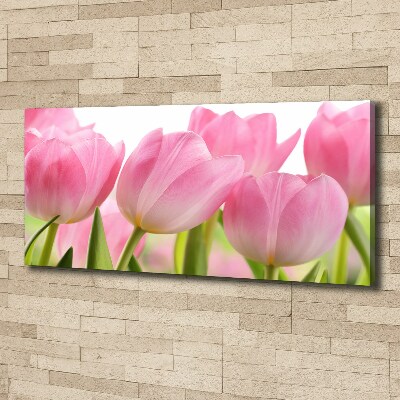 Foto obraz na plátně Růžové tulipány