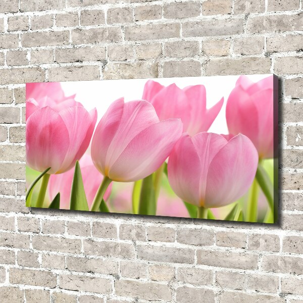 Foto obraz na plátně Růžové tulipány