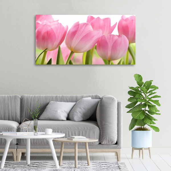 Foto obraz na plátně Růžové tulipány
