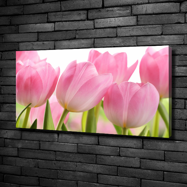 Foto obraz na plátně Růžové tulipány
