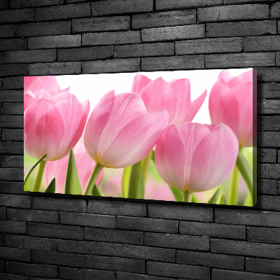Foto obraz na plátně Růžové tulipány