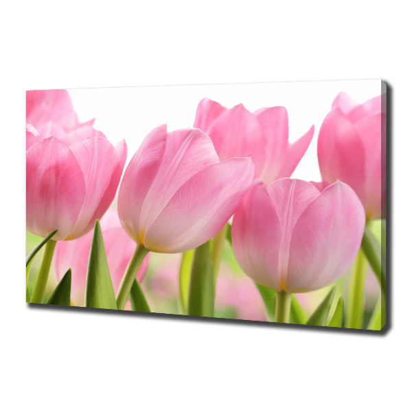 Foto obraz na plátně Růžové tulipány