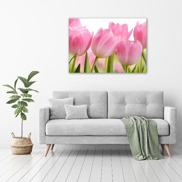 Foto obraz na plátně Růžové tulipány