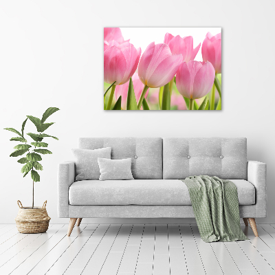 Foto obraz na plátně Růžové tulipány