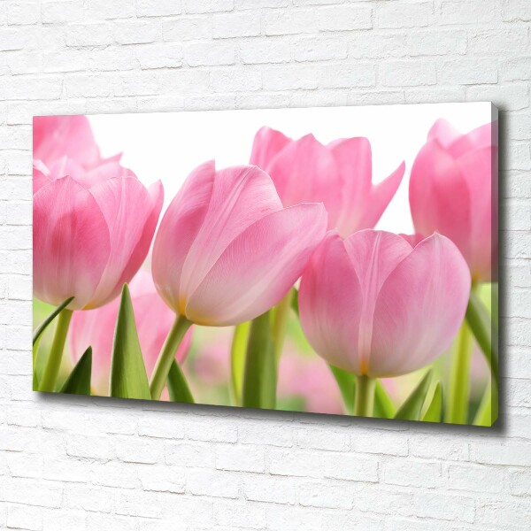 Foto obraz na plátně Růžové tulipány