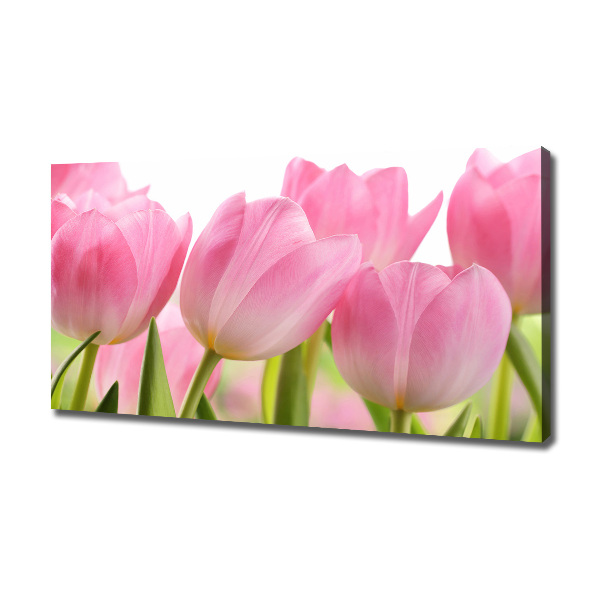 Foto obraz na plátně Růžové tulipány