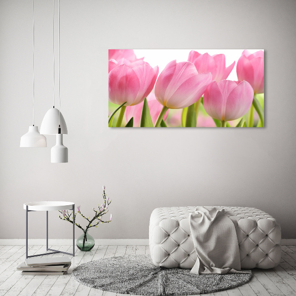 Foto obraz na plátně Růžové tulipány