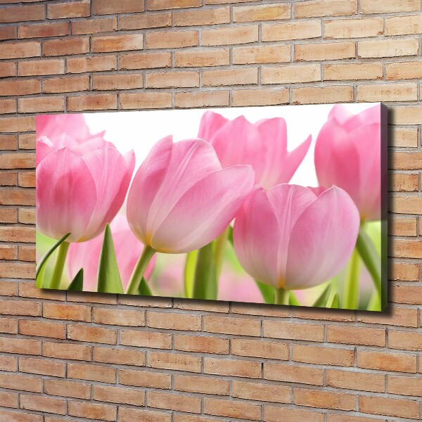 Foto obraz na plátně Růžové tulipány