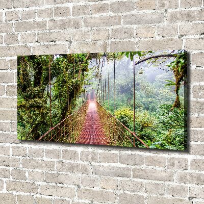 Foto obraz na plátně Most v pralese