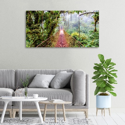 Foto obraz na plátně Most v pralese