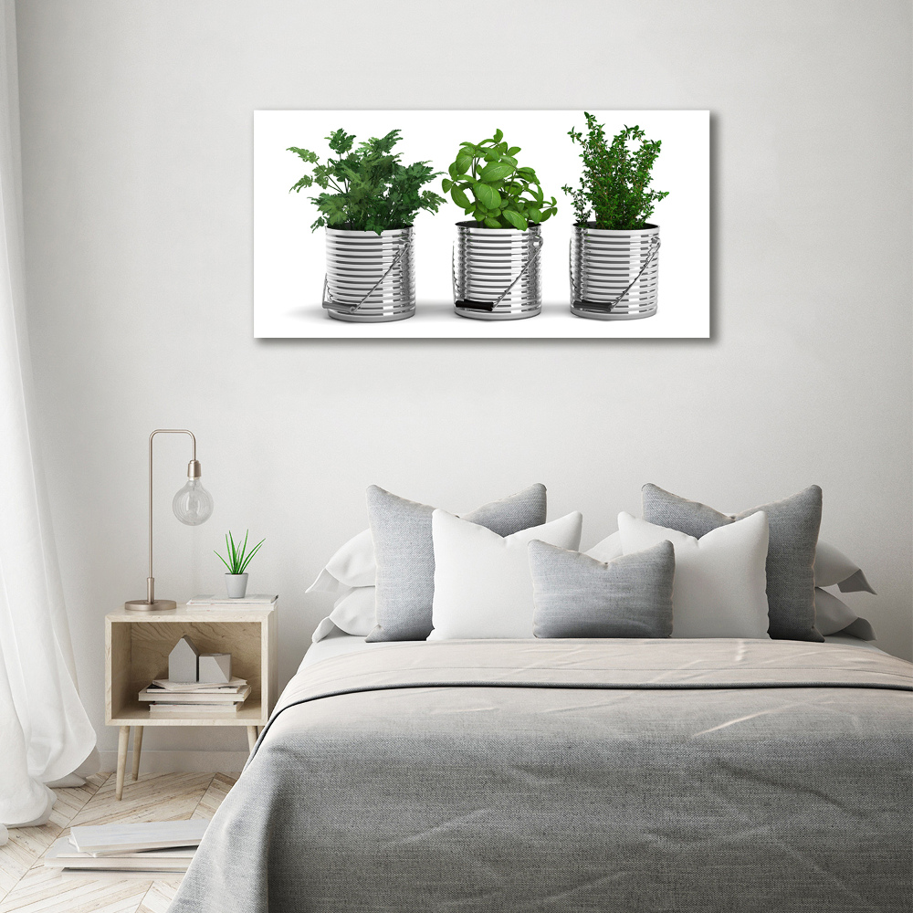 Foto obraz na plátně Aromatické rostliny