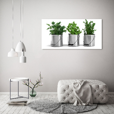 Foto obraz na plátně Aromatické rostliny