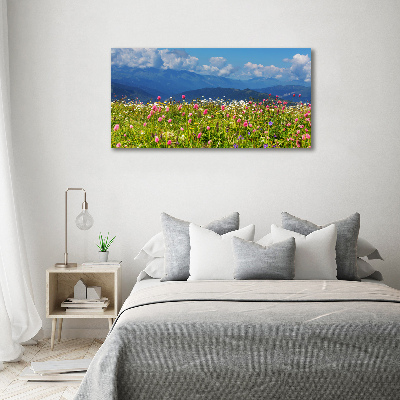 Foto obraz na plátně Louka v horách