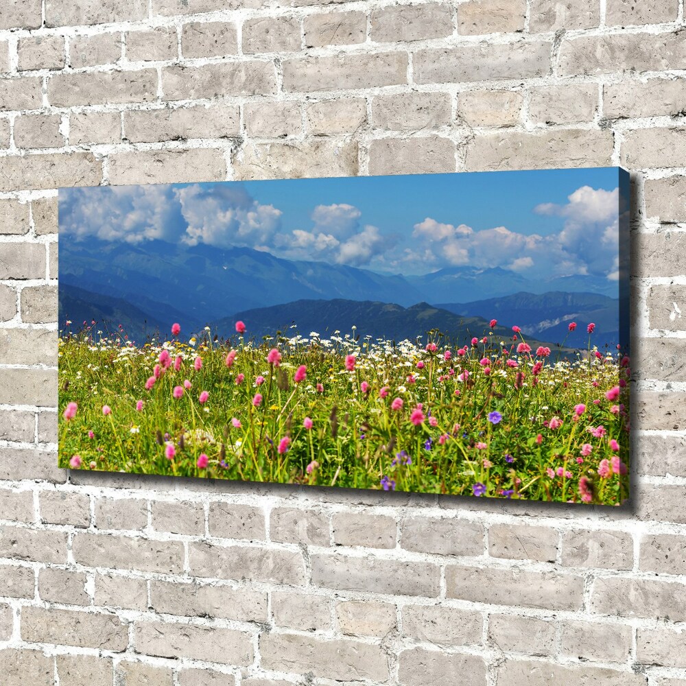 Foto obraz na plátně Louka v horách