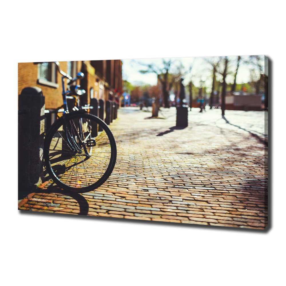 Foto-obraz canvas do obýváku Kolo Amsterdam