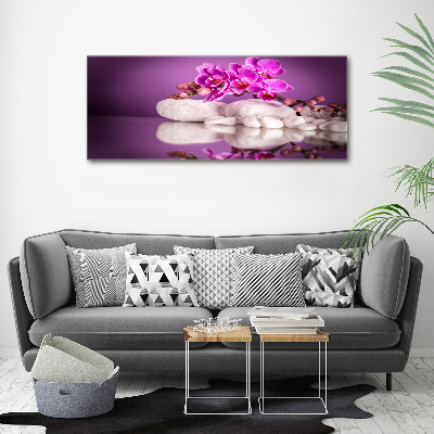 Foto obraz canvas Růžová orchidej