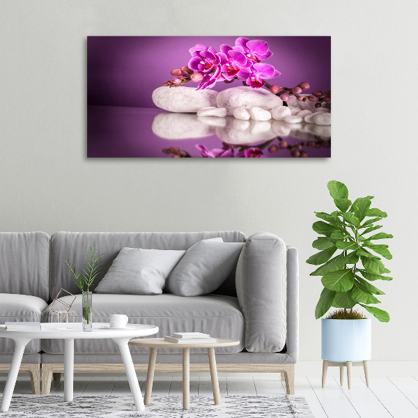 Foto obraz canvas Růžová orchidej