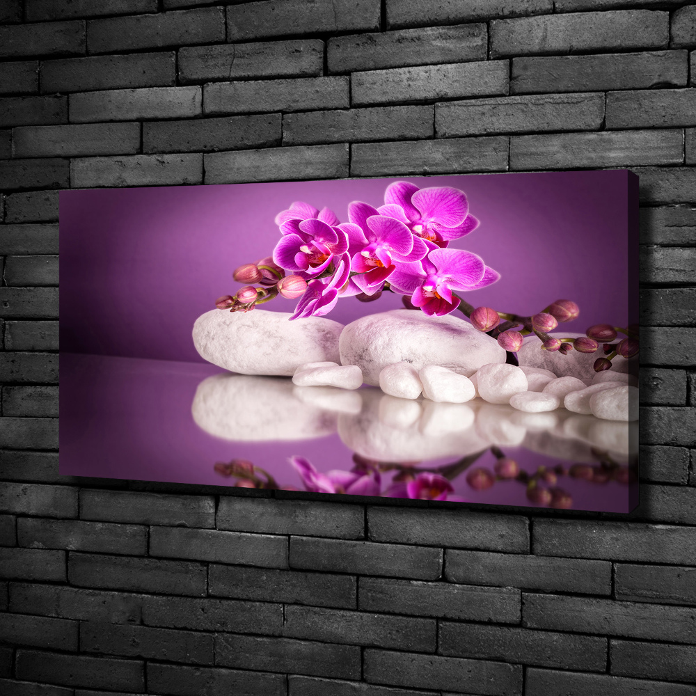 Foto obraz canvas Růžová orchidej