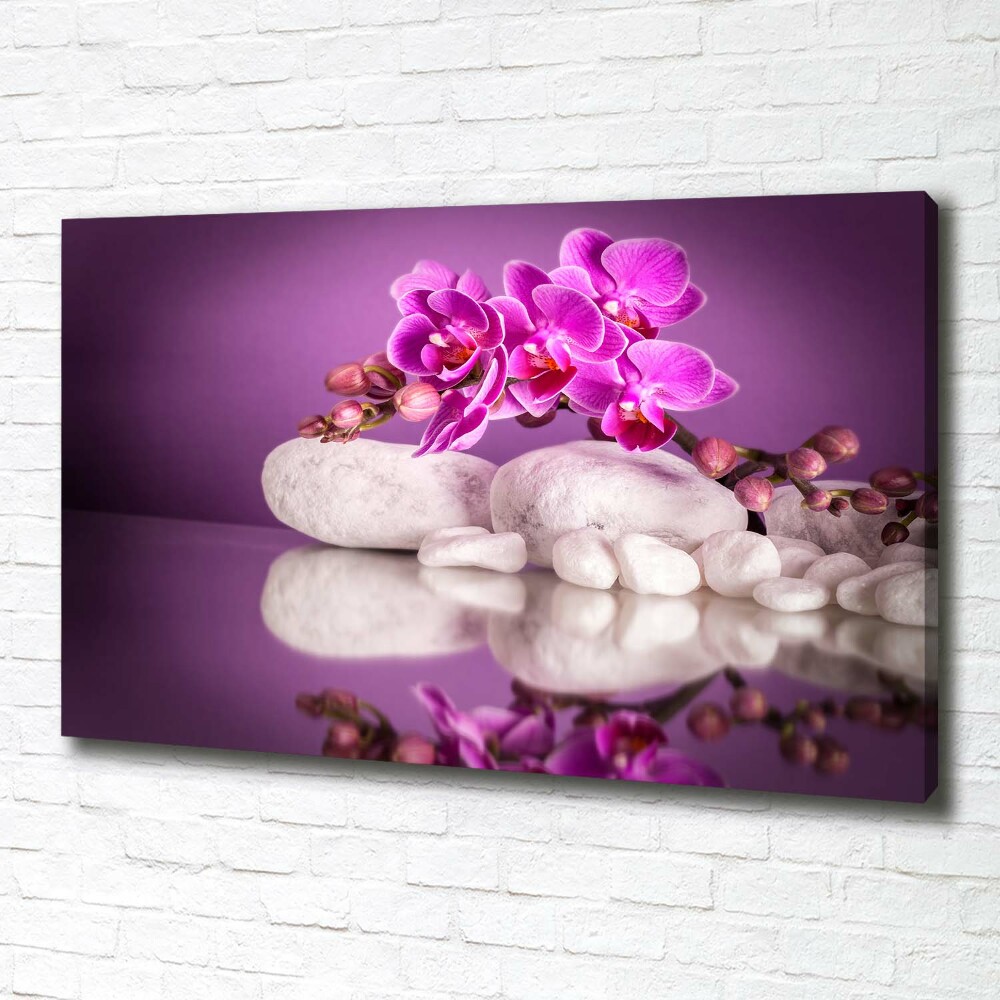 Foto obraz canvas Růžová orchidej