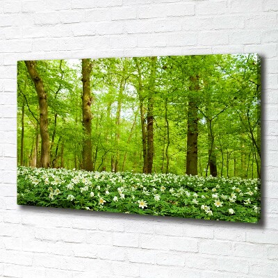 Foto obraz na plátně Květiny v lese