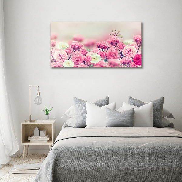 Moderní fotoobraz canvas na rámu Květy divoké růže