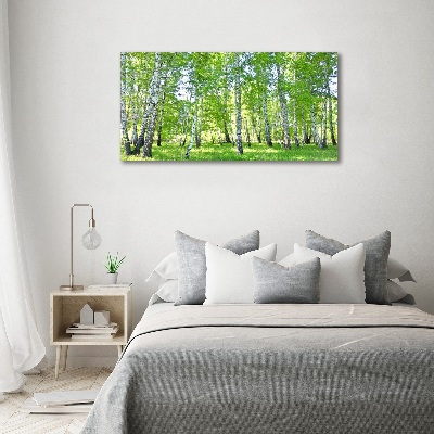 Moderní obraz canvas na rámu Břízy