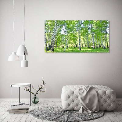 Moderní obraz canvas na rámu Břízy