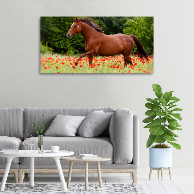 Fotoobraz fotografie na plátně Kůň na poli máků