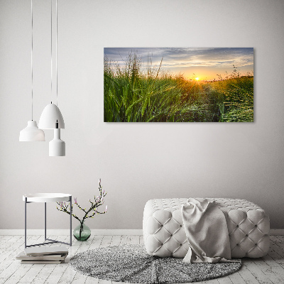 Foto obraz na plátně Pole pšenice