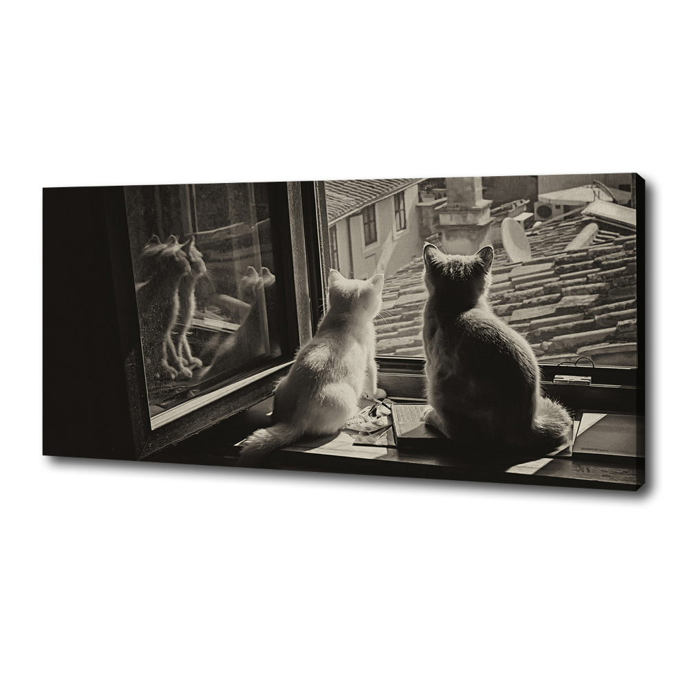 Foto obraz na plátně Kočky při okně