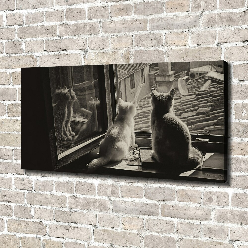 Foto obraz na plátně Kočky při okně