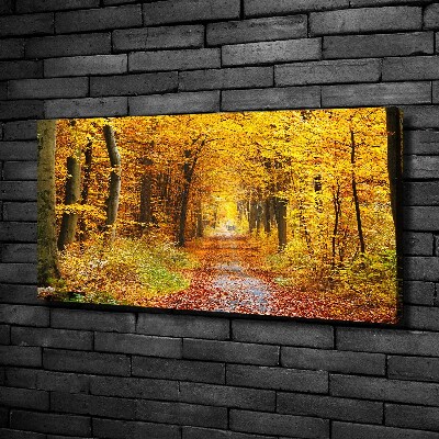 Foto obraz na plátně Podzimní les