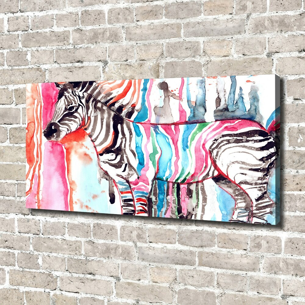 Foto obraz na plátně Barevná zebra